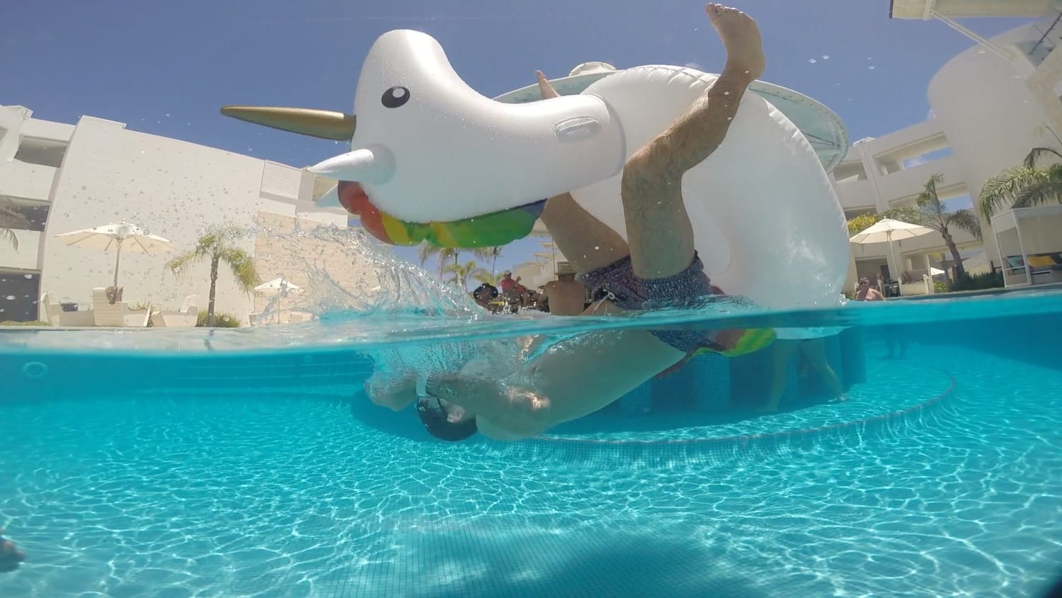 12 Reasons why the GDome PDS is the worlds best Underwater Dome Port for GoPro Cameras - GDome