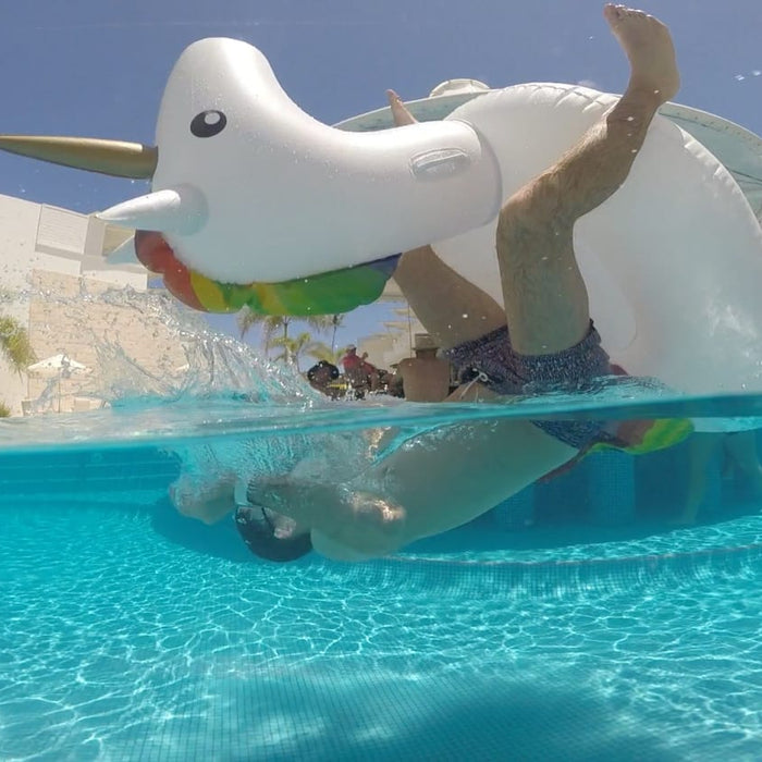 12 Reasons why the GDome PDS is the worlds best Underwater Dome Port for GoPro Cameras - GDome